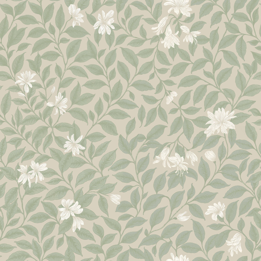 Poppy Honeysuckle Small (Cream) Wallpaper