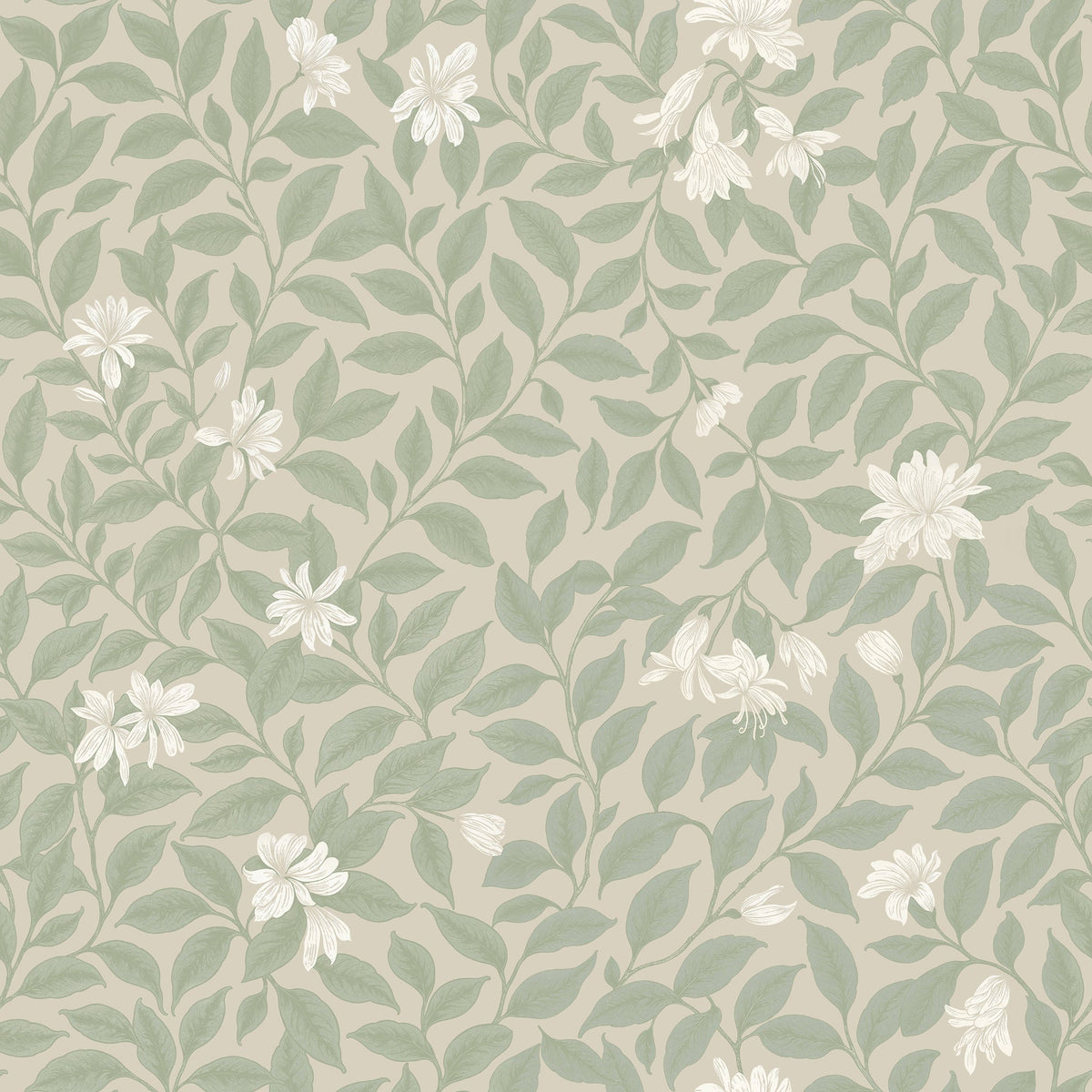 Poppy Honeysuckle Small (Cream) Wallpaper