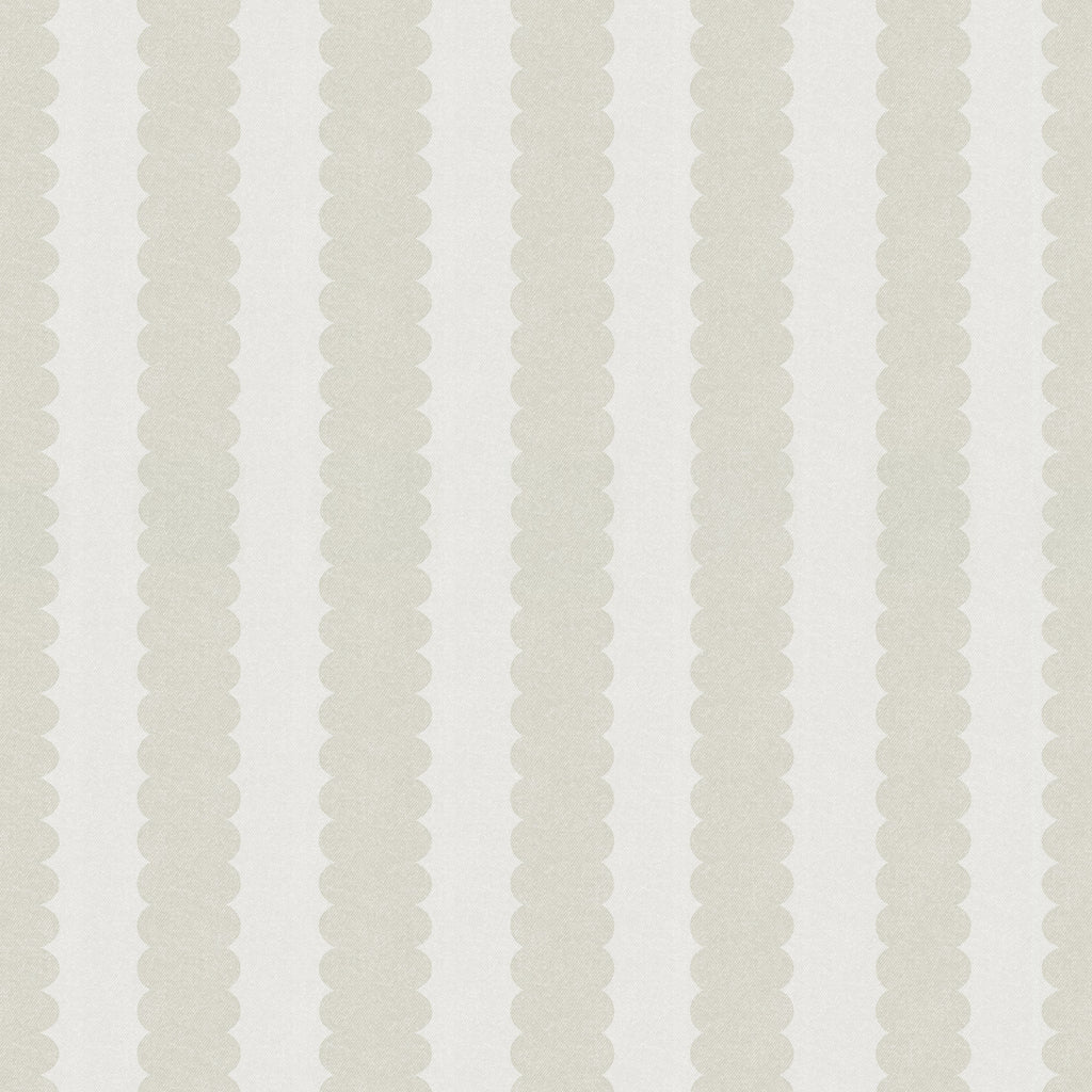 Teddy Scallop (Medium) Wallpaper