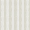 Teddy Scallop (Medium) Wallpaper