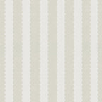 Teddy Scallop (Medium) Wallpaper