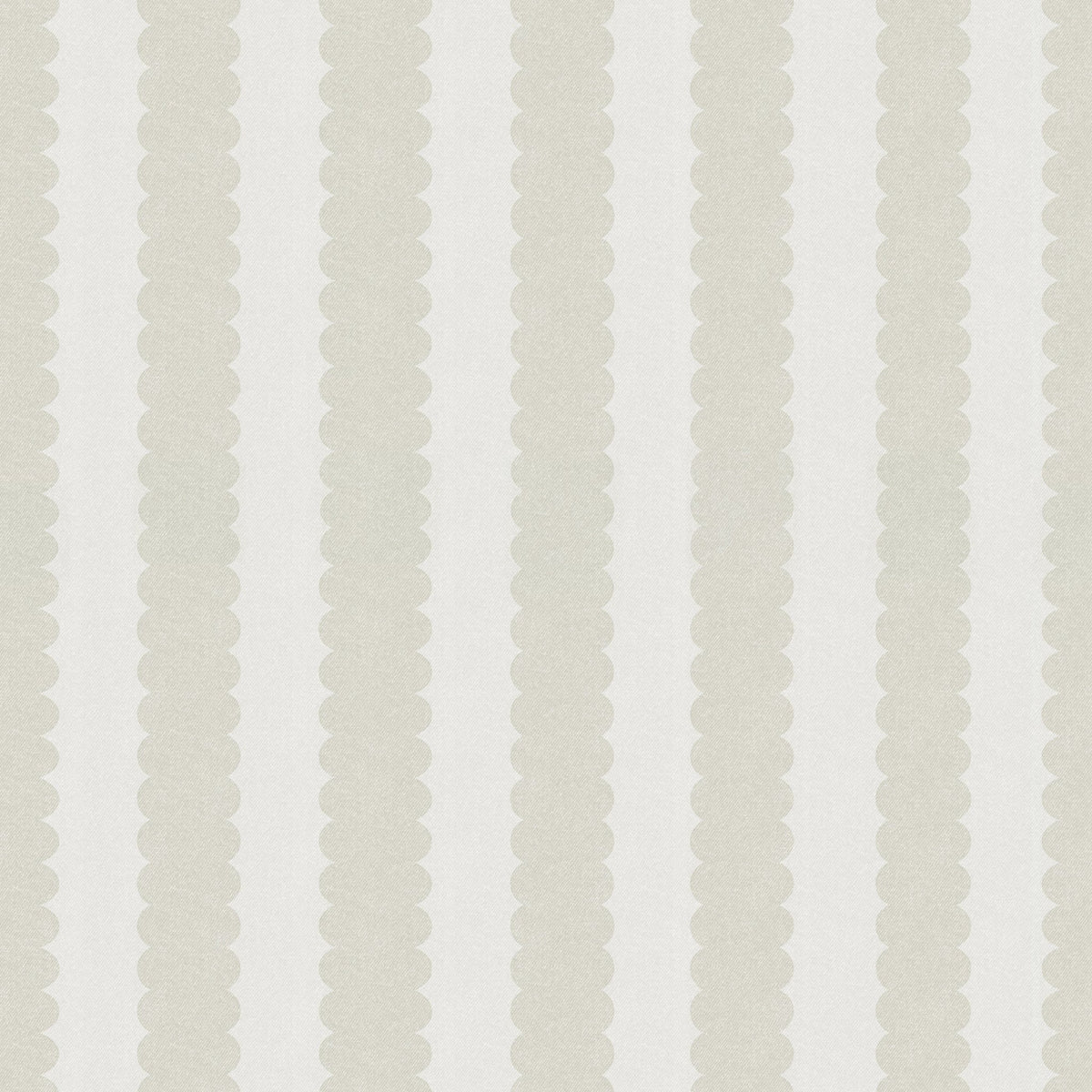 Teddy Scallop (Medium) Wallpaper