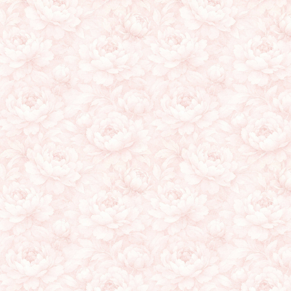 Peony Whisper Wallpaper