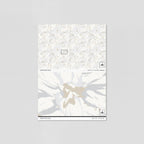 Blue Daisy Floral Wallpaper – Something Blue