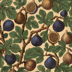Harvest Wallpaper